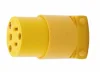 FEMALE PLUG END (image for) FEMALE PLUG END