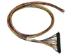 (image for) Jamma Harness