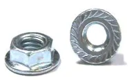 (image for) 1/4-20 Flange Nut